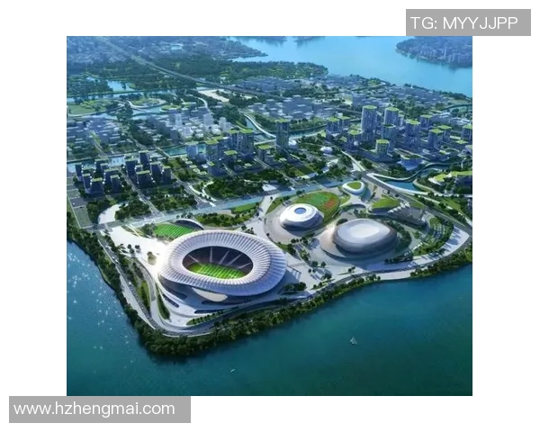 深圳排球队在全运会中的节奏表现分析与未来展望